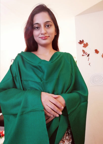 Kashmir Pashmina Stole 70%
