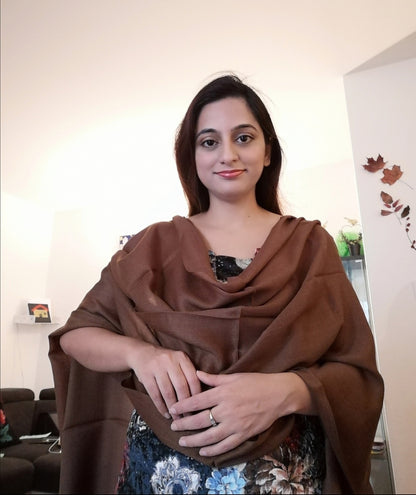 Kashmir Pashmina Stole 70%